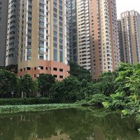 Nhượng Liền Kề Sát Tổ Hợp Chung Cư Seasons Avenue Mulberry Lane Làm Khách Sạn Mini, Spa, Homestay