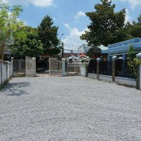 Có Miếng Đất Để Dành Già Về Ở, Giờ Kẹt Gấp Quá Nên Bán Rẻ Chỉ 600 Triệu