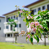 Định Cư Nước Ngoài Cần Bán Gấp Căn Nhà Liên Kế Dự Án Lavida Vũng Tàu Giá Tốt Nhất Liên Hệ: 0933973518
