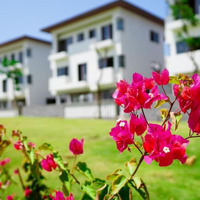 Định Cư Nước Ngoài Cần Bán Gấp Căn Nhà Liên Kế Dự Án Lavida Vũng Tàu Giá Tốt Nhất Liên Hệ: 0933973518