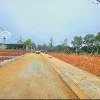 Ra Nhanh Lô Đất Tại Triệu Sơn Giá Chỉ 2Xx