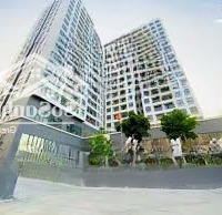 Bán Căn Hộ Penthouse Goldora Plaza, 4,8 Tỷ, 132M2, 3 Phòng Ngủ 2 Vệ Sinh Ngay Rmit, Nhà Mới 100%, Chiết Khấu