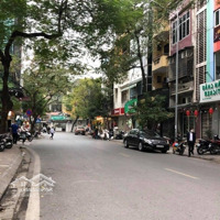 Bán Nhà Mặt Phố Nguyên Hồng,Diện Tích100M2 X 9 Tầng, Mặt Tiền 9M, Lô Góc, Thuê 250 Tr / Th.