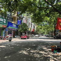 Bán Nhà Mặt Phố Nguyên Hồng,Diện Tích100M2 X 9 Tầng, Mặt Tiền 9M, Lô Góc, Thuê 250 Tr / Th.