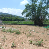 Đất Đẹp Giá Mềm Nhất Vân Hoà,Ba Vì. Diện Tích: 533M Bám Cáng Đồng View Núi.giá 3,X Tỷ