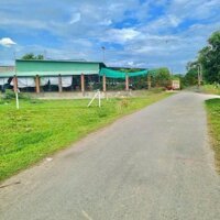 MẶT TIỀN ĐƯỜNG NHỰA DT 340M2 ĐẤT THỔ CƯ NGAY CHỢ THÔNG VÀO KCN DÂN ĐÔNG. GIÁ 220TR