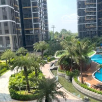 Bán Cc The Beverly Solari Chỉ Từ 3,4 Tỷ Chiết Khấu Đến 17.3%, Tặng Gói Nội Thất 150 Triệu