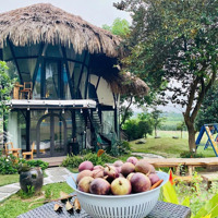 Bán Khu Nghỉ Dưỡng Vân Hòa, Ba Vì,Diện Tích2.300M2, Giá Bán 25 Tỷ