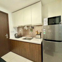 Căn Hộ Như Ảnh Đăng - 12 Triệu, 1 Phòng Ngủ(Studio) , 1 Vệ Sinh,Full Nt Mới, Còn 3 Căn, Cho Thuê Chcc The Tresor