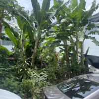 Bán Lô Liền Kề Kđt Hud Phước Long A Giá Chỉ 3.5Ty, Quá Đẹp Anh Chị Ạ, Lh E Cường 0914201192.