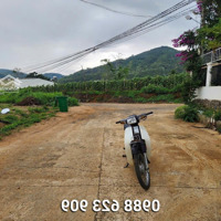 Bán 137,1M2 Đất Thị Trấn Liên Nghĩa Đức Trọng Lâm Đồng 1,2 Tỷ Có Đất Ở