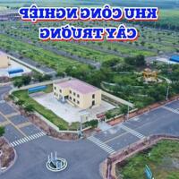 Đất mặt tiền đường kinh doanh ngay KCN Bàu Bàng giá 3,1tr/m2