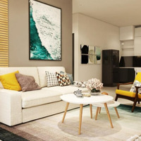 Hàng Hiếm Tại Park Legend, 11 Triệu, 36 M2, 1 Phòng Ngủ 1 Vệ Sinh Tân Bình, Hcm. Liên Hệ: 0908374425