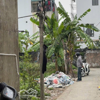 Chính Chủ! Bán Đất Tại Đường Thượng Phúc Tả Thanh Oaidiện Tích56M2 Sổ Đổ Lâu Dài, Giá Bán 2,190 Tỷ