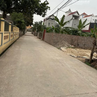 Chính Chủ Bán Nhanh Siêu Phẩm 271M2 Đất Tại Xã Vân Nam, Phúc Thọ, Hn. Đất Siêu Đẹp, Giá Rẻ