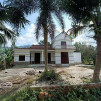Bán Biệt Thự Nhà Vườn View Đồng Lúa 850 M2 Đất Ở Tại Thôn Nam Yên - Xã Hòa Bắc. Đà Nẵng Tổng Diện