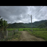 Bán Biệt Thự Nhà Vườn View Đồng Lúa 850 M2 Đất Ở Tại Thôn Nam Yên - Xã Hòa Bắc. Đà Nẵng Tổng Diện