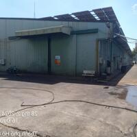 Bán xưởng 9900m2 KCN Tân Bình, Tp HCM