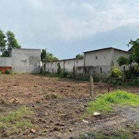 Đất Phú Hòa Đông,Mặt Tiềnđường 435 Full Thổ Xây Dựng Ngay, Chỉ 550 Triệu, Mua Ngay Kẻo Hết F7