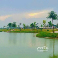 Bán Đất Rừng Thông, Đông Sơn, Thanh Hóa, 1,3 Tỷ, 100M2, Pháp Lý Đầy Đủ, Nhiều Tiện Ích.