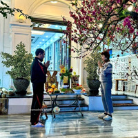 Cho Thuê Biệt Thự Song Lập Sao Biển Tại Vin Gia Lâm.diện Tích150 M2,Mặt Tiền10 M, 4 Pn Khép Kín, Full Nt