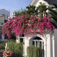 Bán Biệt Thự Khan Hiếm Đường Lê Văn Sỹ, Quận 3 - Dt: 14X18 - Kết Cấu: 3 Tầng + Áp Mái - Giá: 48 Tỷ