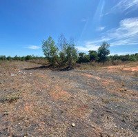 Chính Chủ Cần Bán 1000M2 Ngay Cổng Sau Sân Bay Phan Thiết Chỉ 750 Triệuieu