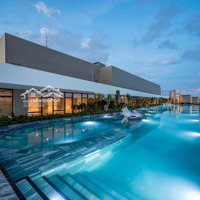 Cho Thuê Căn Hộ Chung Cư The Sóng Vũng Tàu 1 Phòng Ngủfull Nội Thất Giá Rẻ 7 Triệu/Tháng. Liên Hệ: 0902674254