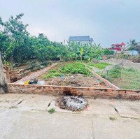 Nhỉnh 3 Tỷ Sỡ Hữu Lô Đất 60,6M Đường Ô Tô Vào Tận Đất!