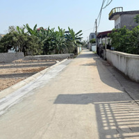 Bán Đất Tại Thị Trấn An Lão, An Lão, Hải Phòng, Giá Tốt, 71M2