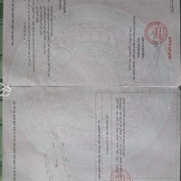 Bán Đất 1600M2 Tại Đường 20, Xã Thuận Thành, Cần Giuộc, Long An, Chỉ Với 3,6 Tỷ