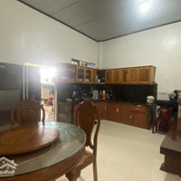 Bán 240M2 Nhà Vườn Ngô, Xã Đồi 61, Sổ Riêng Giá Cực Rẻ Chỉ 3 Tỷ