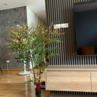 Bán Căn Duplex Tòa Golden Land,Nguyễn Trãi, Thanh Xuân, 140M2, 3 Phòng Ngủ 2 Vệ Sinh Full Đồ