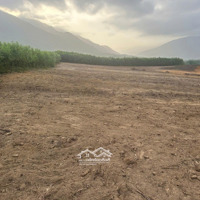20000M2 Đất Trồng Cây Lâu Năm Vuông Vắn Bằng Phẳng Rất Đẹp Hòa Phú.