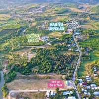 Bán 3 Lô Khánh Phú - Khánh Vĩnh Diện Tích 228M2 Mỗi Lô- Giá Bán 388 Triệuiệu