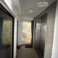 Bán Nhà Mặt Phố Từ Hoa 376.7/355.8M2, 5 Tầng, Mặt Tiền 11.3M, Dài 33 M, 320 Tỷ ,Tây Hồ