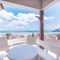 Bán Lô Đất Đẹp Xây Biệt Thự Nghỉ Dưỡng View Biển Đồi Sứ Vũng Tàu 250M2 Giá Chỉ 8 Tỷ
