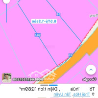 Cần Bán Nhanh 1,3 Ha Đất Làm Nhà Vườn, Biệt Thư Giá Chỉ 4, 6 Triệu/ M2 Tại Tân Uyên Giáp Tp Dĩ An