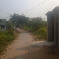 Cần Bán Nhanh 1,3 Ha Đất Làm Nhà Vườn, Biệt Thư Giá Chỉ 4, 6 Triệu/ M2 Tại Tân Uyên Giáp Tp Dĩ An