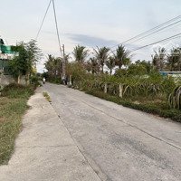 Bán Đất Tại Xã Tiến Lợi, Phan Thiết, Bình Thuận, 1,7 Tỷ Vnd, 1000 M2 Đẹp, Nhiều Tiện Ích