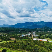 Sở Hữu Ngay 1305M2 Đất View Săn Mây Cực Đẹp Tại Lộc Bắc, Chỉ 850 Triệu, Ngân Hàng Hỗ Trợ Vay 50%