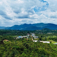 Sở Hữu Ngay 1305M2 Đất View Săn Mây Cực Đẹp Tại Lộc Bắc, Chỉ 850 Triệu, Ngân Hàng Hỗ Trợ Vay 50%