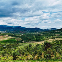 Sở Hữu Ngay 1305M2 Đất View Săn Mây Cực Đẹp Tại Lộc Bắc, Chỉ 850 Triệu, Ngân Hàng Hỗ Trợ Vay 50%