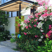 Bán Biệt Thự Nghỉ Dưỡng Gần Biển Libera Nha Trang Giai Đoạn 2, Giá Từ 12 Tỷ Mỗi Căn
