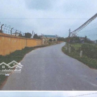 Bán Đất Tại Đường Phù Mã, Xã Phù Linh, Sóc Sơn, Hà Nội Giá Ưu Đãi 5,6 Tỷ, 374 M2