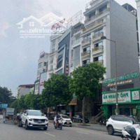 Mảnh Đất Hiếm Mễ Trì Thượng Lô Góc Ô Tô Tránh, 200M2, Mặt Tiền 16M, Giá Đầu Tư 29.5 Tỷ