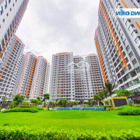 Cho Thuê Shophouse Safira Giá Tốt 37 Triệu/Tháng
