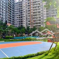 Cho Thuê Shophouse Safira Giá Tốt 37 Triệu/Tháng