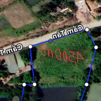 Chính Chủ Bán Đất 3.298M² Tại Ba Vì Sổ Đỏ Riêng, Đường Đẹp, Gần Trung Tâm Xã