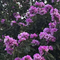 Bất Động Sản Biển Lựa Chọn Của Giới Thượng Lưu, Cặp Đất Vàng An Thượng 39 Ngũ Hành Sơn Chỉ 25.5 Tỷ.